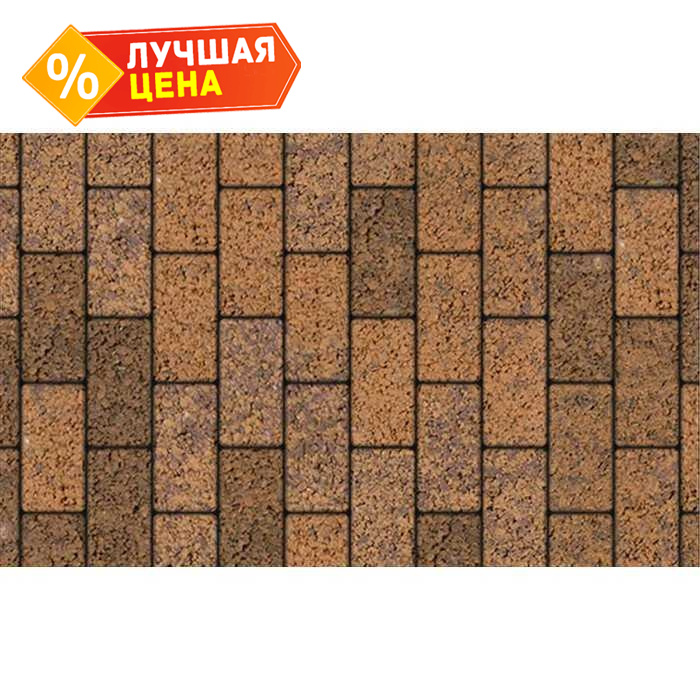 Плитка тротуарная Прямоугольник (Ла-Линия) Б.2.П.6 Листопад гранит Арабская ночь 200х100х60 мм